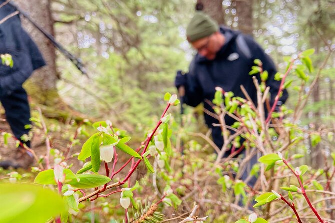 Seward Wilderness Hiking - Wildlife Spotting and Nature Photography
