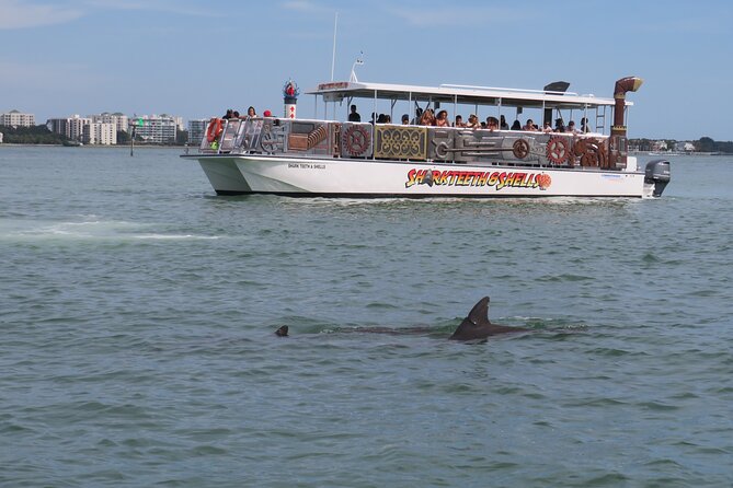 Shark Teeth and Shells, Dolphin and Shelling Tour Boat Clearwater Beach - Cancellation Policy