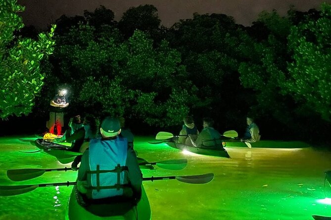 Sharkeys LED Illuminated Night & Sunset Tour on Glass Bottom Kayaks in Sarasota - Positive Reviews