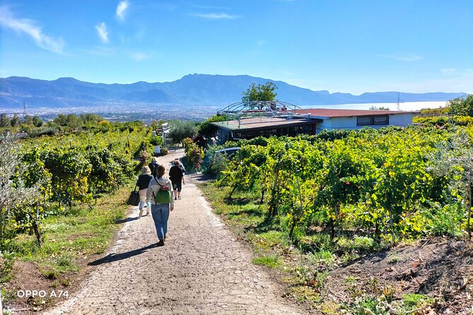 Shore Excursion Naples City Tour, Pompeii & Winery Cantina Del Vesuvio - The Sum Up