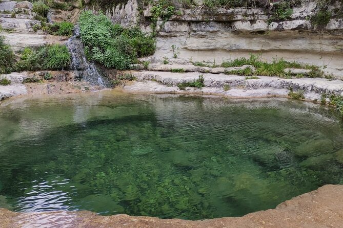 Sicilian Natural Parks, Trekking Eco Tour From the Sea to the Mountains - Pricing Details and Options
