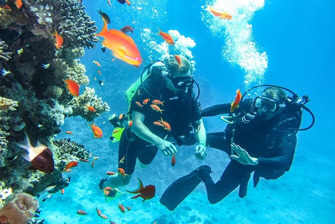 Side:Scuba Diving Experience Underwater Museum Side - Safety Guidelines and Requirements