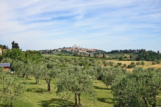 Siena and San Gimignano and Chianti Wine Small-Group Tour From Pisa - Customer Reviews and Recommendations