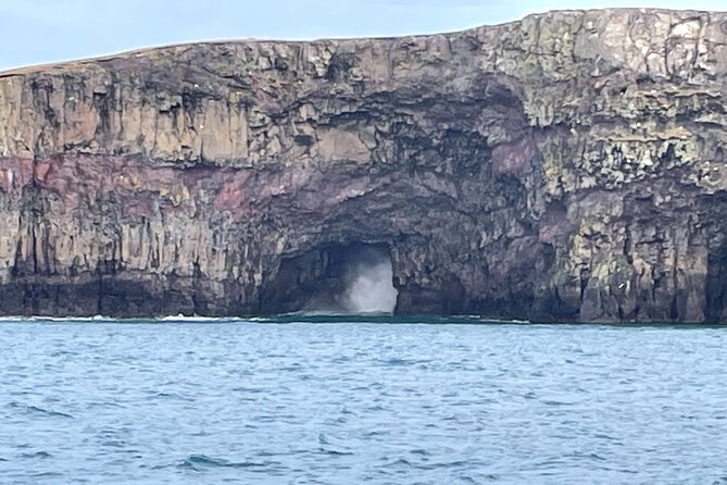Sightseeing Around Nólsoy to See Puffins - Common Questions