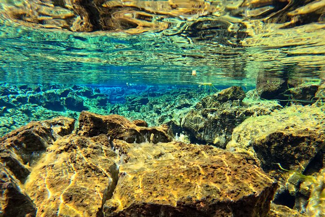 Silfra Snorkeling- Transfer From Reykjavík Included - The Sum Up