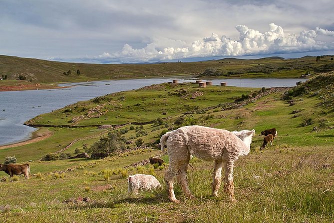 Sillustani Tombs Excursion - Tips for a Memorable Excursion