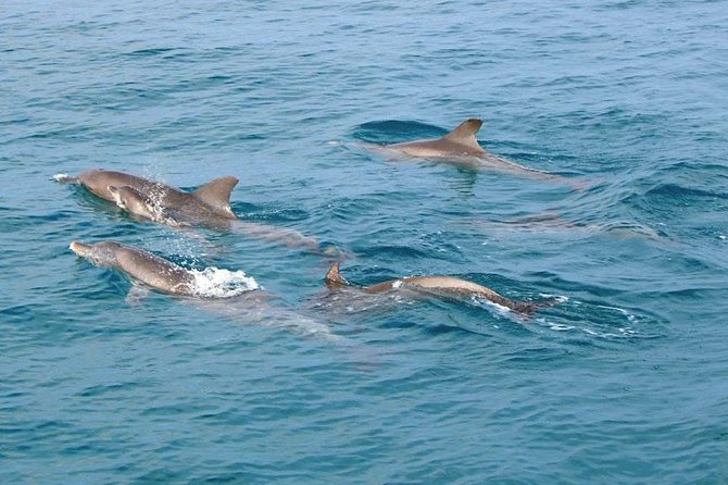 Similan Islands Snorkeling Tour By Speed Catamaran From Khao Lak - Tour Availability and Minimum Number of Travelers