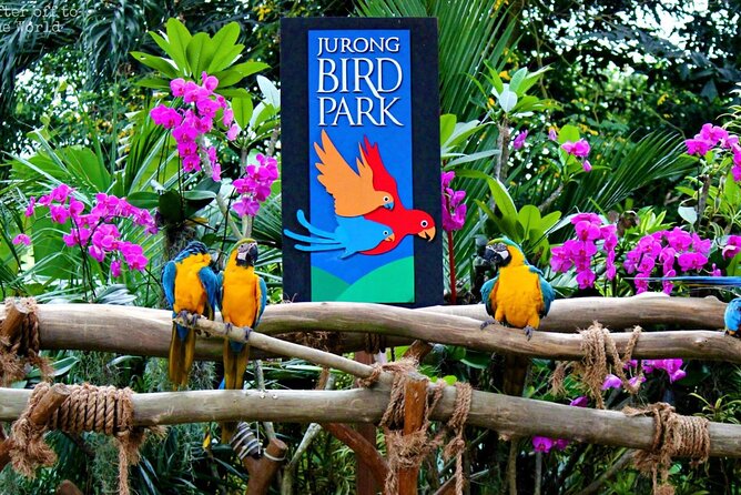 Singapore Bird Paradise & Zoo Full Day (Ticket & Transfer ) - Additional Tips and Information