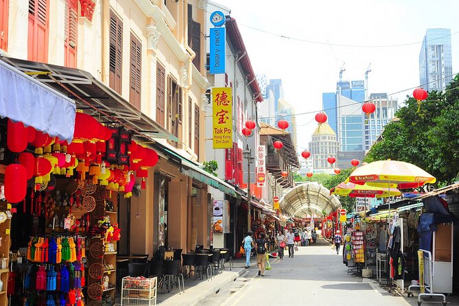 Singapore Panoramic Sightseeing Private Tour With River Cruise - Recommendations