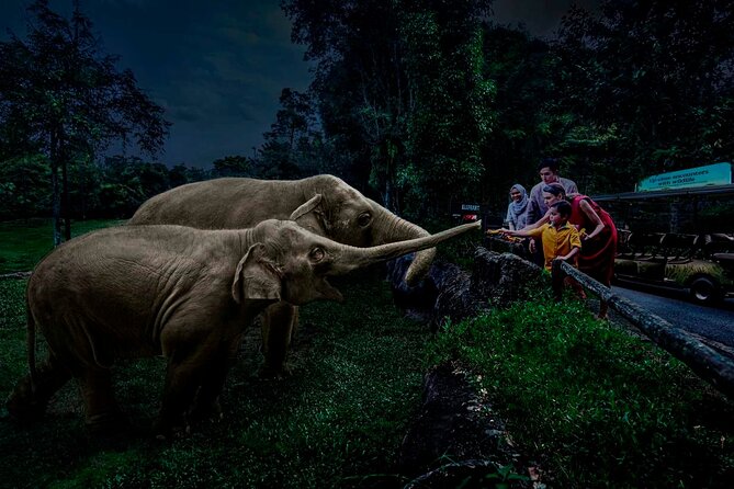 Singapore River Wonders & Night Safari ( Tickets & Transfer ) - Common Questions