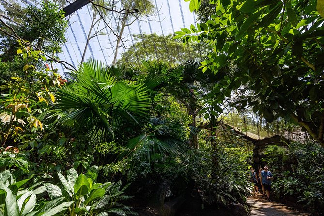 Singapore Zoo With Transfer, Breakfast With Orangutans Option - The Sum Up