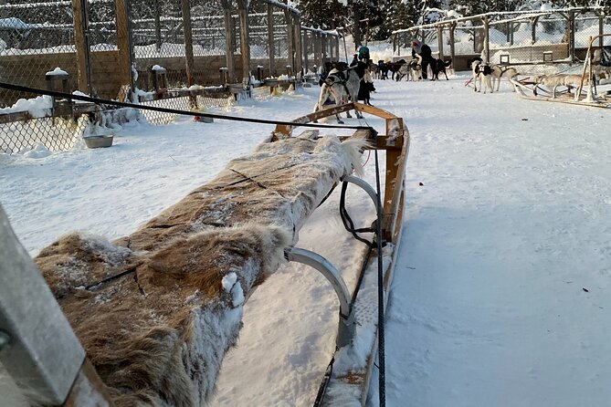 Sit Down Husky Ride Dog Sled Tour in Kiruna - Additional Information