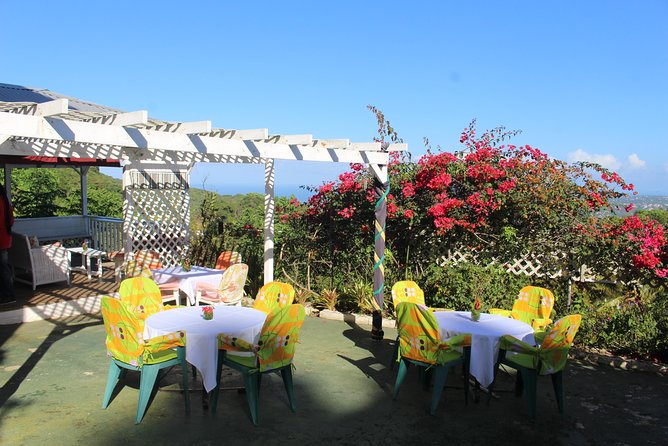 Skip the Line: Ahhh Ras Natango Gallery and Garden Admission Tickets - Traveler Photos and Reviews