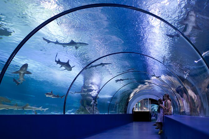 Skip the Line: Antalya Aquarium Ticket - Pricing and Terms