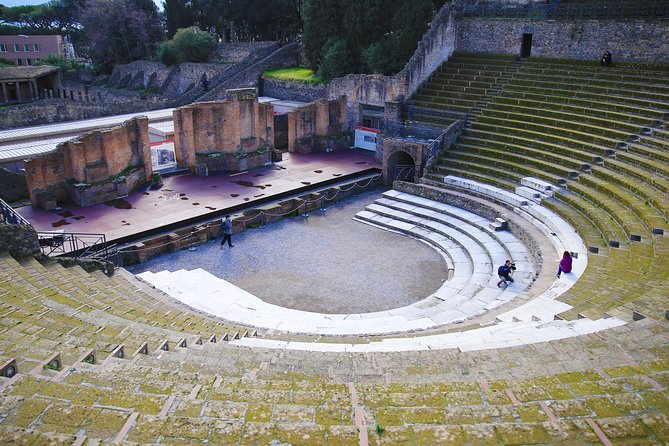 Skip-the-Line Exclusive Private Ancient Pompeii & Vesuvius Volcano Full Day Tour - Reviews and Ratings