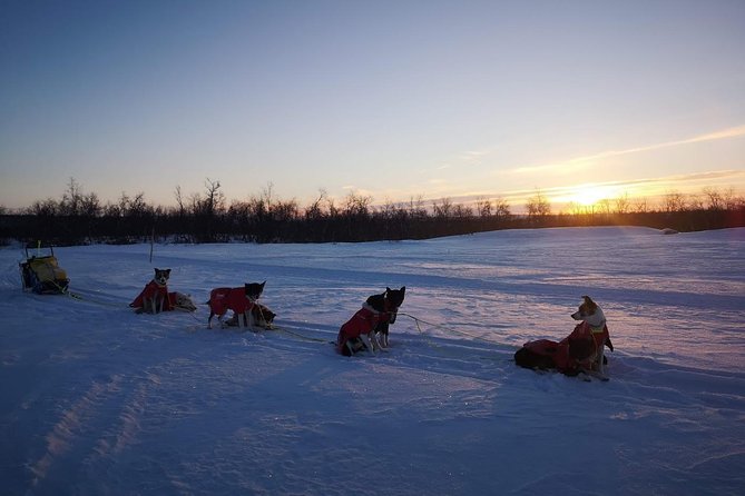 Sled Trip With Husky in the Alta Valley - Cancellation Policy and Refund Options