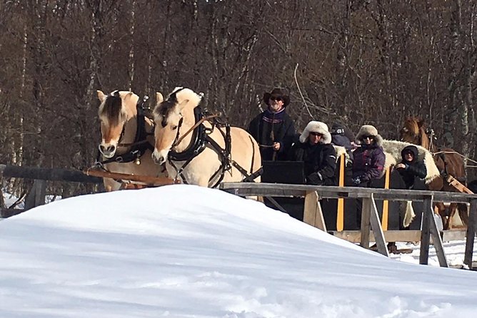 Sleigh Ride W/ Tapas Meal - Experience Arctic Farm Life - Winter Clothes and Pickup Details