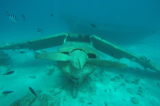 Small-Group Afternoon Snorkeling Tour of The Aquarium, Tahiti - Cancellation Policy