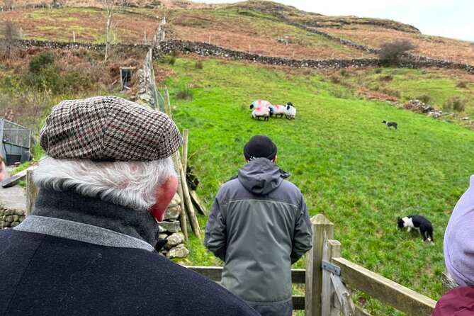 Small Group Aughnanure Castle, Sheepdog Demo & Connemara Tour - Pickup and Drop-off Information