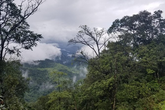 Small Group - Bach Ma National Park Trekking Tour From Hue - Booking Information and Contact Details