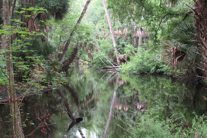 Small Group Blackwater Creek Scenic River Kayak Tour With Lunch - Common Questions