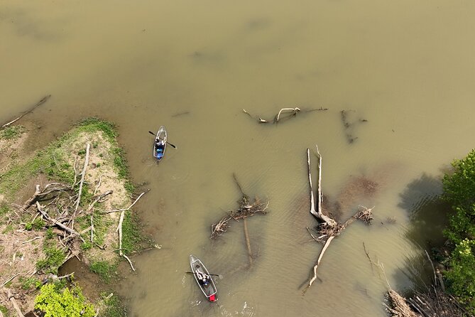 Small Group Clear Kayak Tour of Old Hickory Lake - The Sum Up