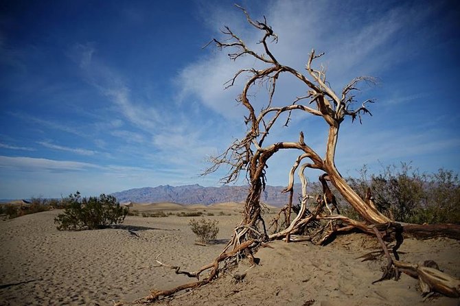 Small-Group Death Valley National Park Day Trip From Las Vegas - The Sum Up