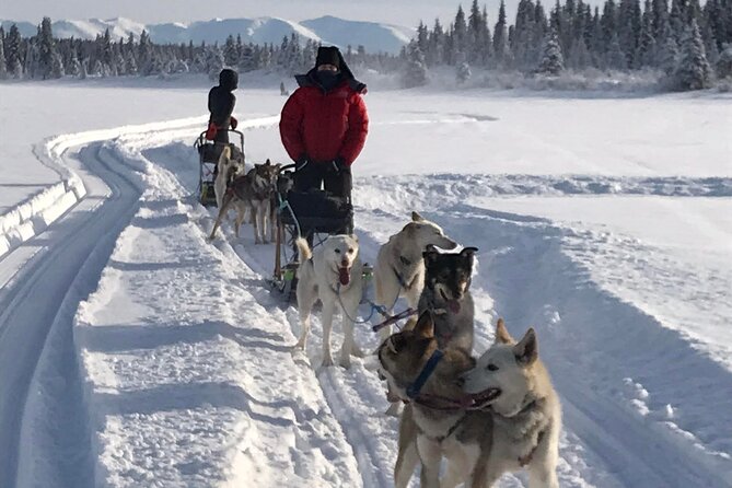 Small-Group Dog Sledding Experience in Sterling - Cancellation Policy