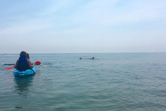 Small Group Dolphin Kayak Eco-Tour - Common Questions