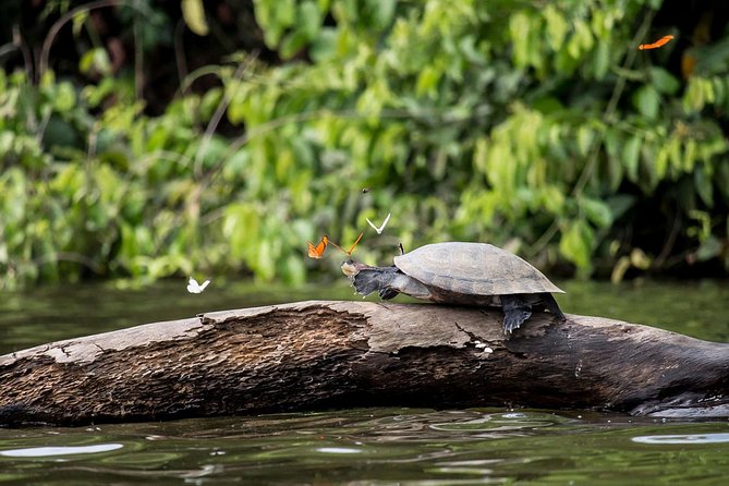 Small-Group Four-Day Tour With Activities, Tambopata Reserve  - Puerto Maldonado - Additional Information