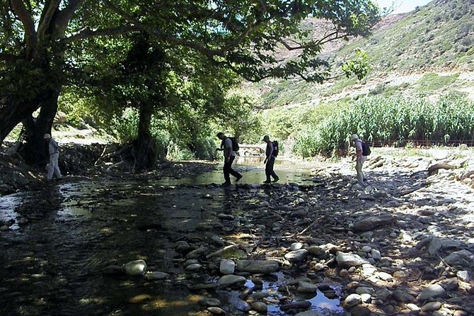 Small-Group Guided Hiking Tour in Andros With Picnic on the Beach - Beach Picnic Experience