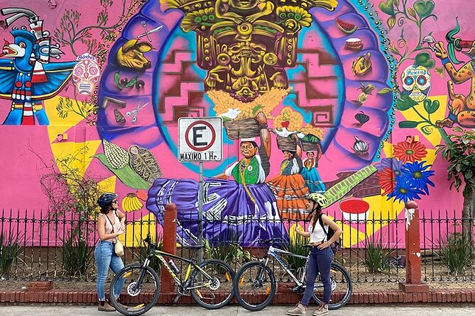 Small-Group Half-Day Bicycle Tour to Street Art Spots, Oaxaca  - Oaxaca City - Viator Help Center and Pricing