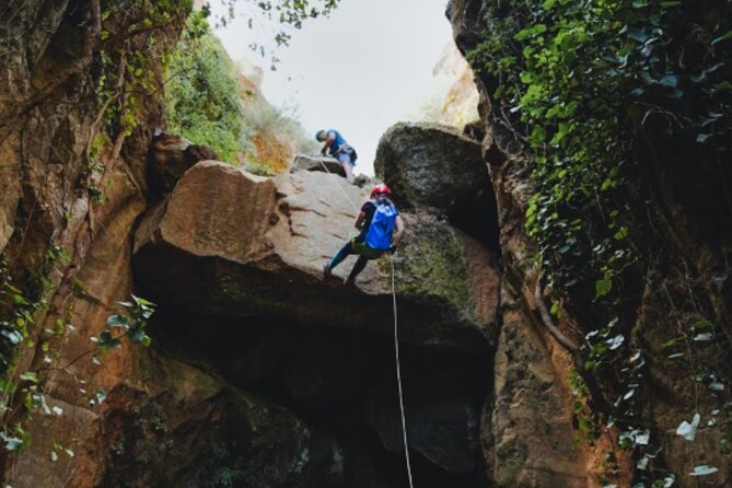 Small-Group Half-Day Canyoning in La Orotava - The Sum Up