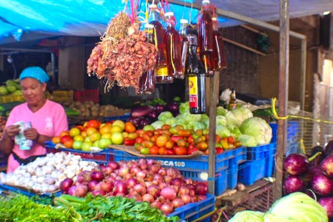 Small Group: Half Day Dominican Republic Cultural Tour - The Sum Up