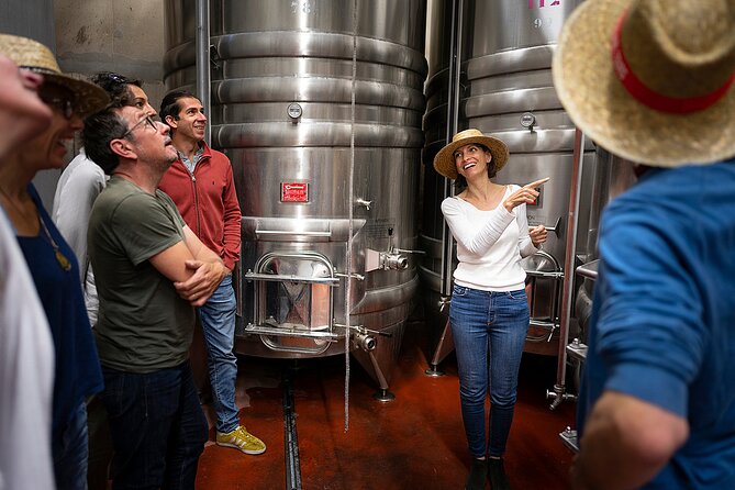 Small-Group Half-Day Languedoc Wine and Oyster Tour From Montpellier - The Sum Up