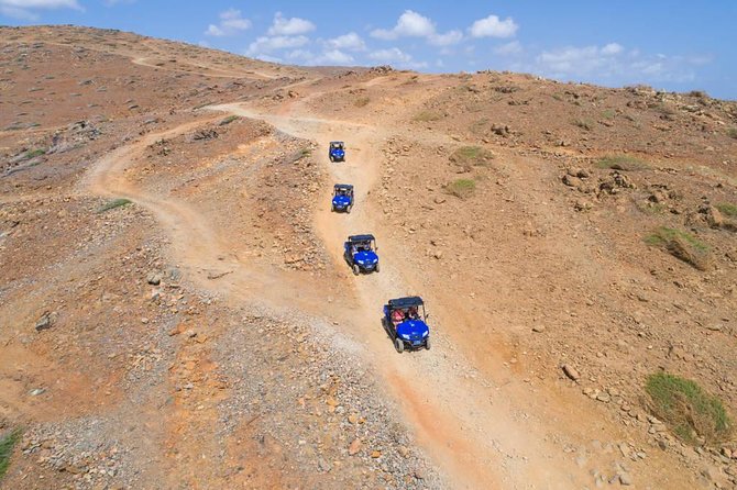Small-Group Half-Day UTV Adventure Morning Tour in Aruba - Common Questions