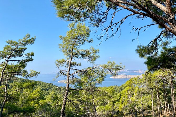 Small Group Hiking Between the Beach and Kritinia Castle - Safety Precautions and Recommendations
