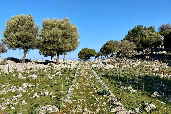 Small Group Hiking From Salakos to Profitis Ilias - The Sum Up