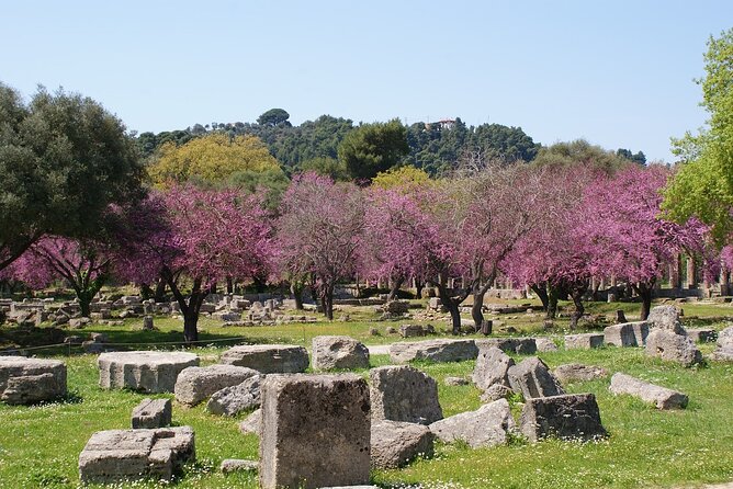 Small Group Shore Excursion at Ancient Olympia From Katakolo Port - Common Questions