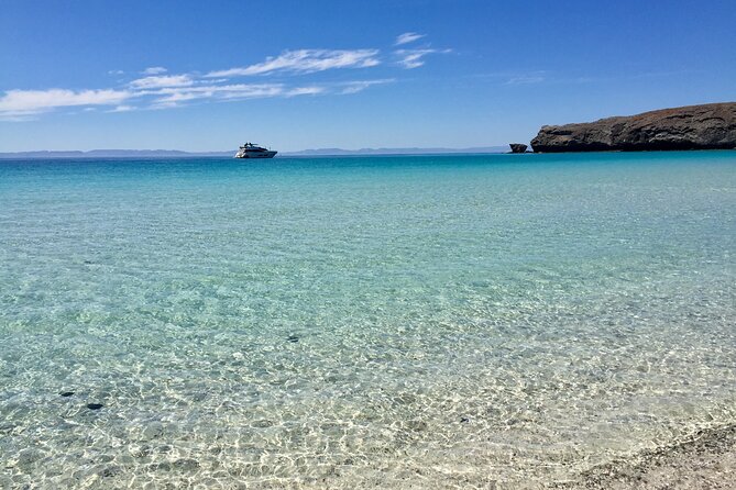 Small Group Snorkeling and Swim With Whale Sharks & Sea Lions in La Paz - The Sum Up