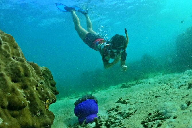 [Small-Group] SNORKELING & SUNSET MEAL at Private Beach-Max 9 PAX - Common Questions
