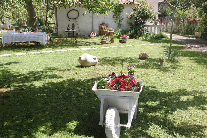 Small Group Tour of Ancient Olympia and Local Food Tasting - Common Questions