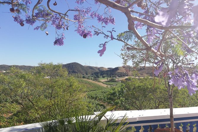 Small Group Wine Tasting Tour From Albufeira - Information About the Winemaking Process