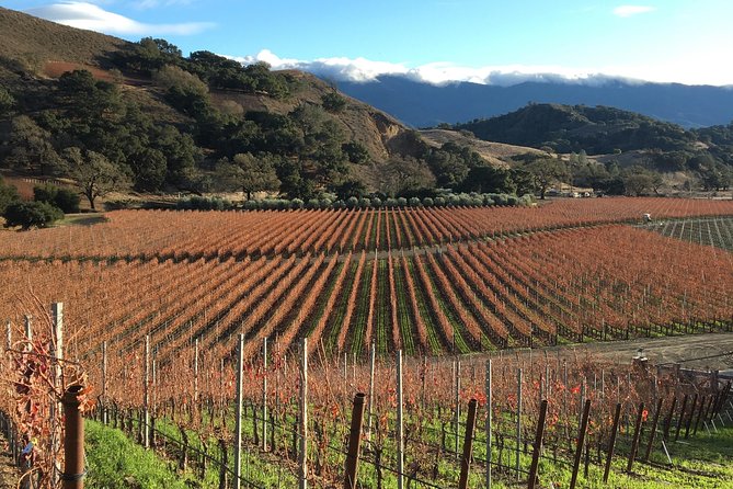 Small-Group Wine Tasting Tour of Santa Barbara Wine Country - Tour Requirements and Recommendations