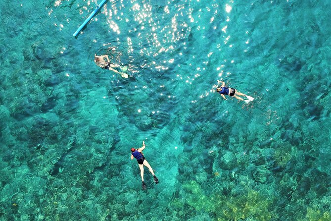 Snorkel Adventure Through the Sea of Cortez - Common Questions