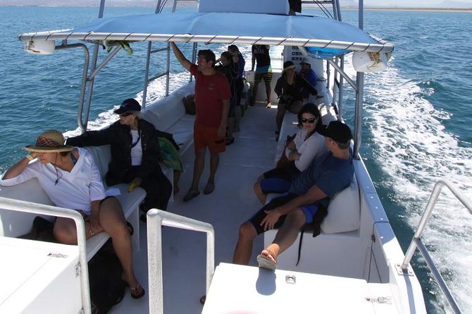 Snorkel & Sea Lion Adventure in Espiritu Santo Island - Price and Inclusions, Overall Satisfaction and Recommendations