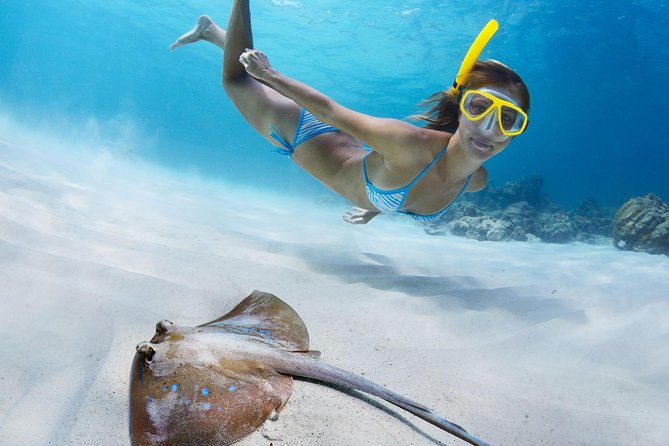 Snorkel & Swim With Turtles. Semi Private Tour to Buck Island & Honeymoon Beach - Common Questions