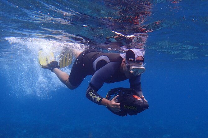 Snorkel With Sea Scooters at Mangel Halto Aruba - Group Tour - Tour Overview