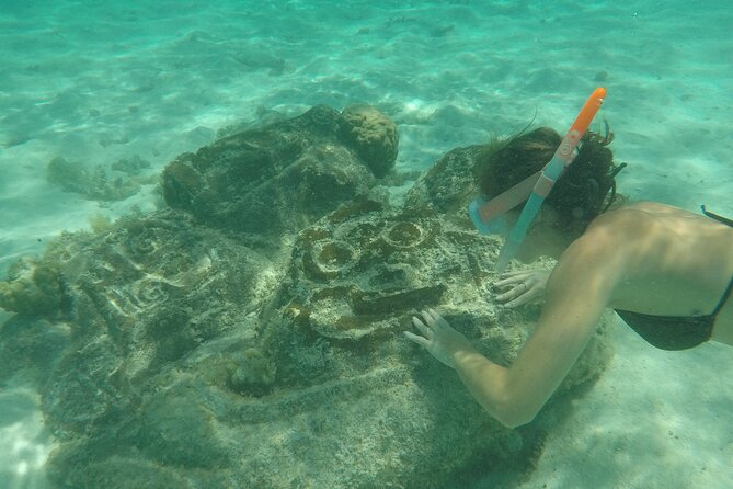 Snorkeling Excursion and Encounter With Marine Fauna in Moorea - Marine Fauna Encounters