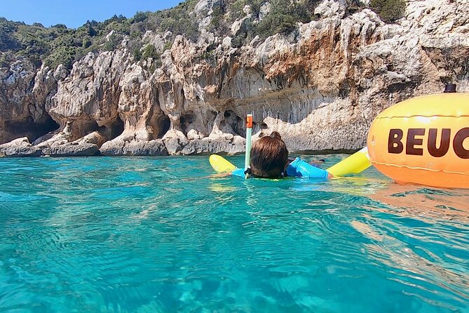 Snorkeling Experience to Discover the Dolphin Inside You! - Pricing Information and Currency